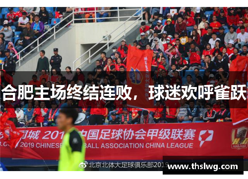 合肥主场终结连败，球迷欢呼雀跃